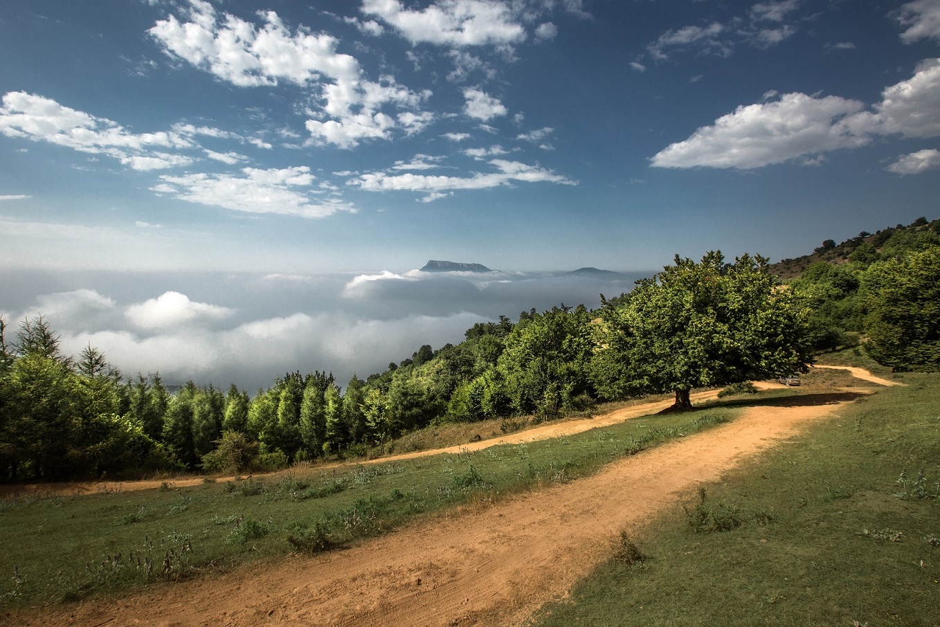 آسفالت مسیر جنگل ابر مغایر با ثبت جهانی است
